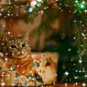 Meet your Posher, Nabaa